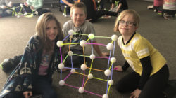 3D Shape Investigation