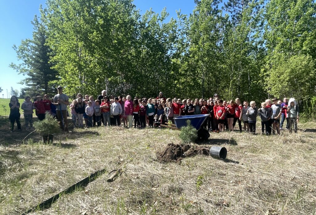 Trees Planted as Memorial