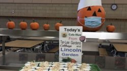 Fresh from Lincoln’s School Garden to Student Lunches