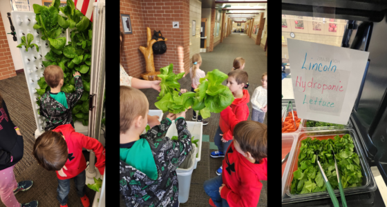 Winter Garden Club Harvest