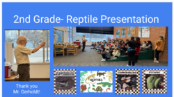 Reptile Presentation