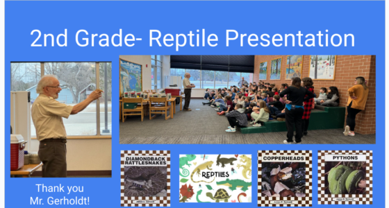 Reptile Presentation