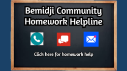 Bemidji Community Homework Helpline