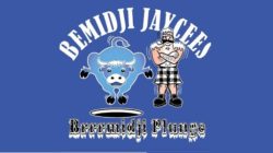 17th Annual Brrrmidji Plunge