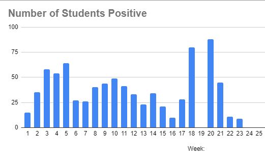 Student Positive Chart
